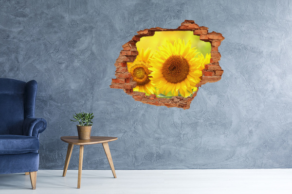 Hole wall sticker Sunflower in concrete