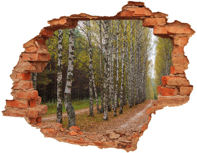 Hole wall sticker Forest alley among birches