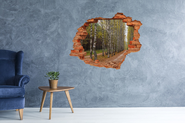 Hole wall sticker Forest alley among birches