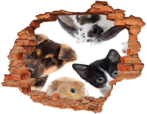 Hole in the wall sticker Animal Voyeurs