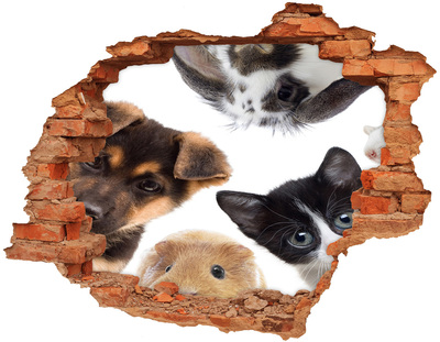 Hole in the wall sticker Animal Voyeurs