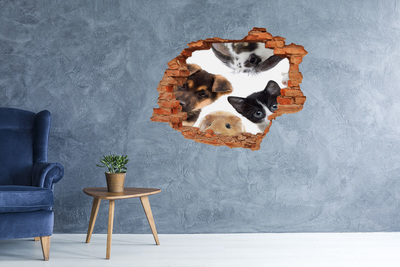 Hole in the wall sticker Animal Voyeurs