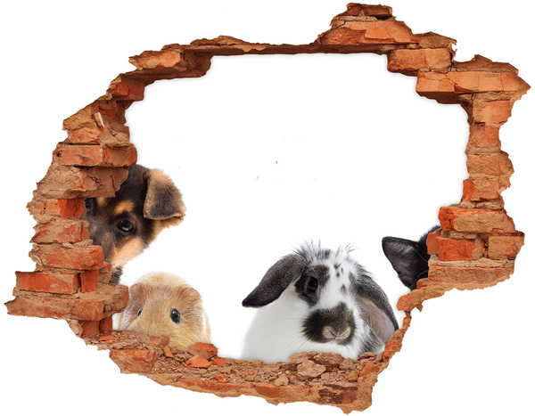 Hole wall sticker Animals behind the hole in the wall