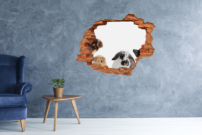 Hole wall sticker Pets