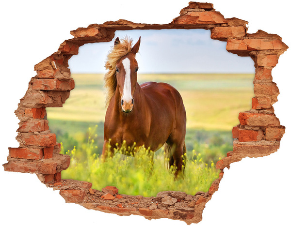 Hole in the wall decal Brown horse