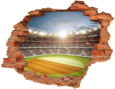 Hole in the wall sticker Poland stadium