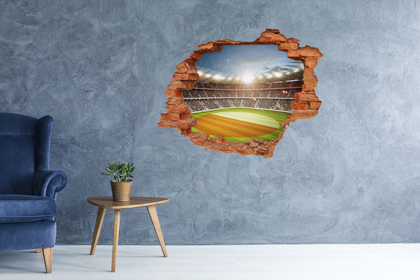 Hole in the wall sticker The stadium in action