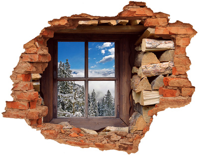 Hole in the wall decal Winter outside the window