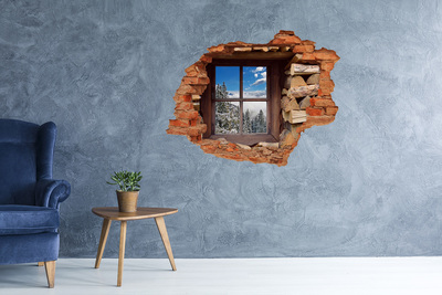 Hole in the wall decal Winter outside the window