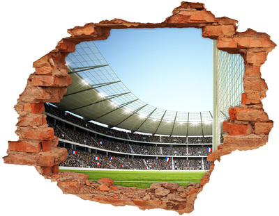 Hole in the wall decal France stadium