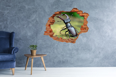 Hole in the wall decal Beetle