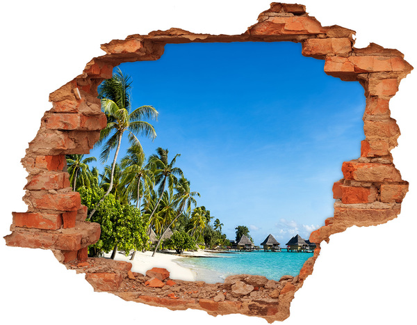Hole in the wall decal Tropical beach with palm trees