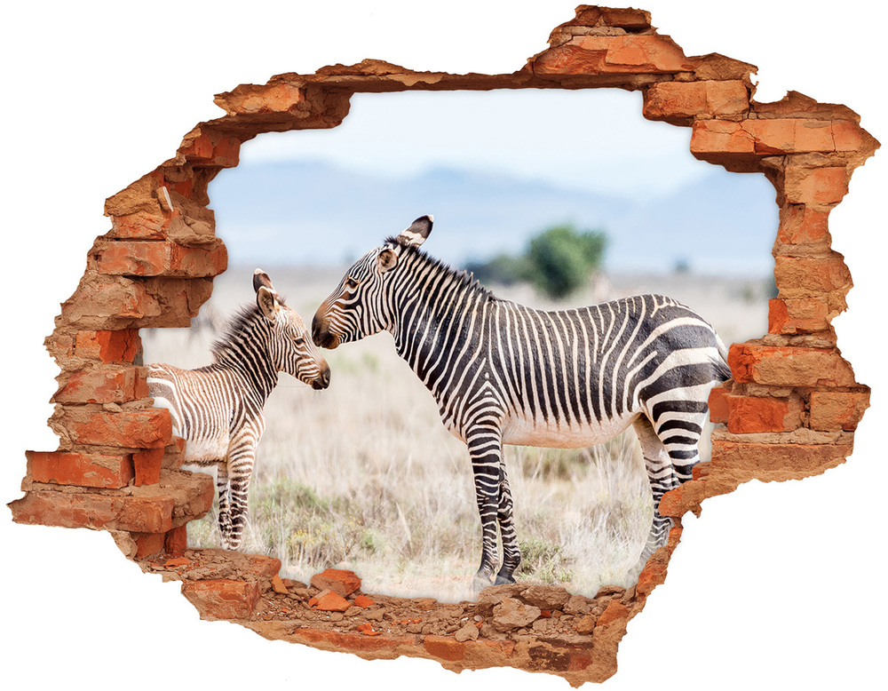 Hole wall sticker Zebra in the mountains