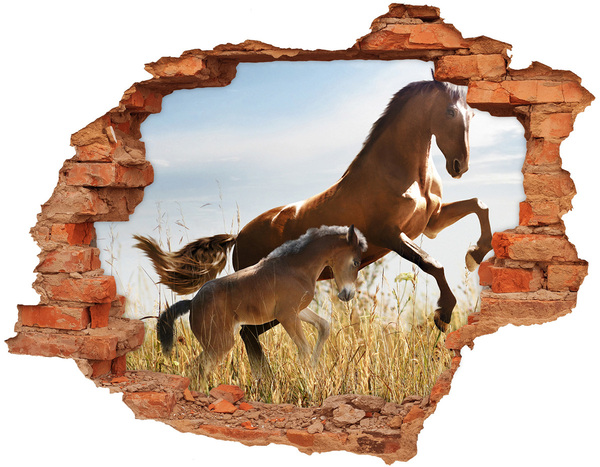 3D wall hole Horses in the meadow