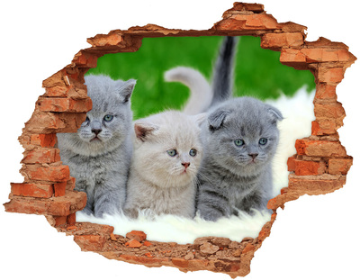 Hole wall sticker Three cats on the blanket