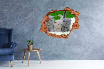 Hole wall sticker Three cats on the blanket