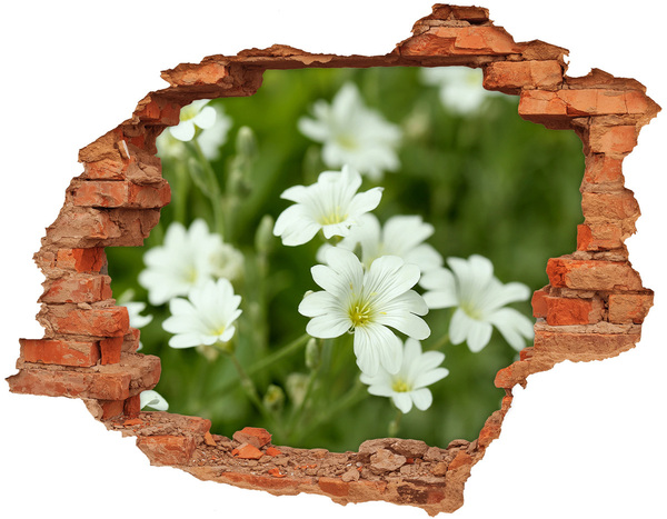 Hole wall sticker Flowers in a hole in the wall