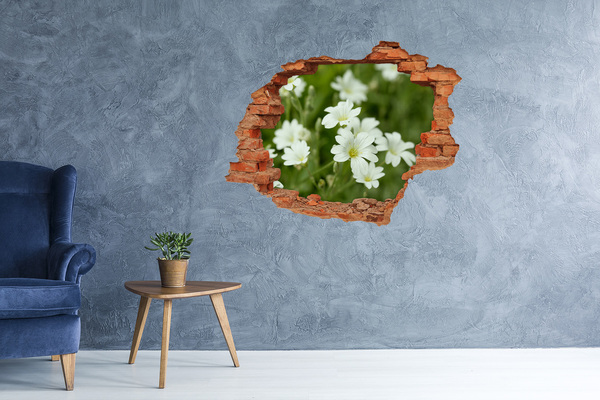 Hole wall sticker Flowers in a hole in the wall