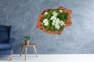 Hole wall sticker Flowers in a hole in the wall