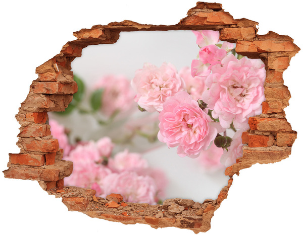 3D wall hole wallpaper A flower paradise behind the wall
