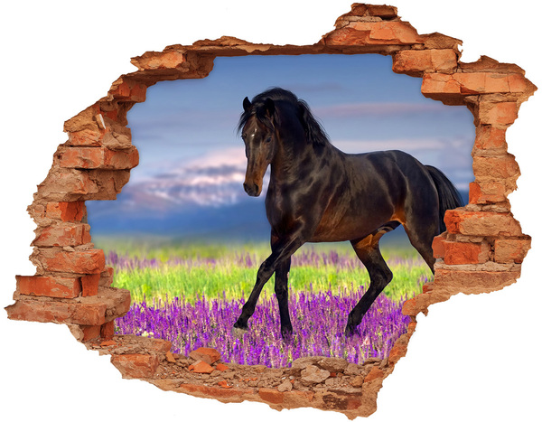 Hole wall sticker Horse in the field of lavender