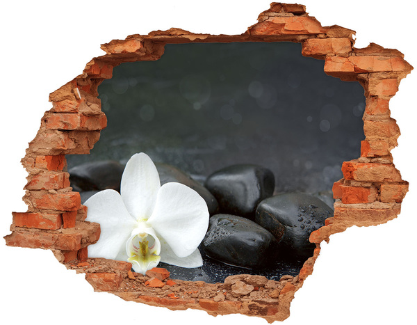 Hole wall sticker Flower and stones against the background of water