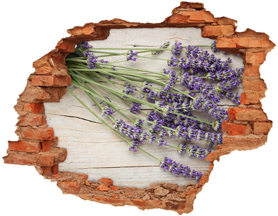 Hole in the wall decal Lavender in a pot