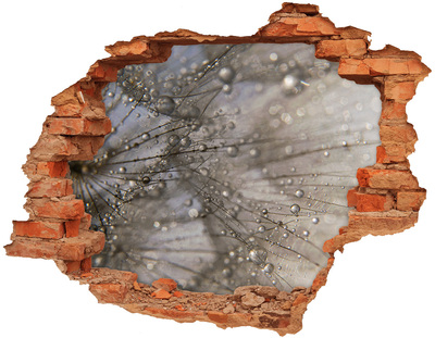 Hole in the wall sticker Water drops on glass