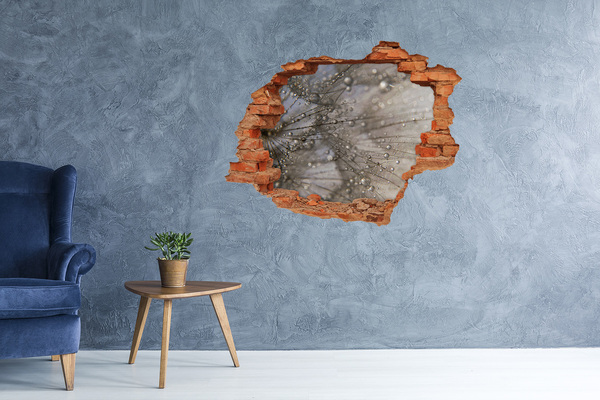 Hole in the wall sticker Dandelion seeds