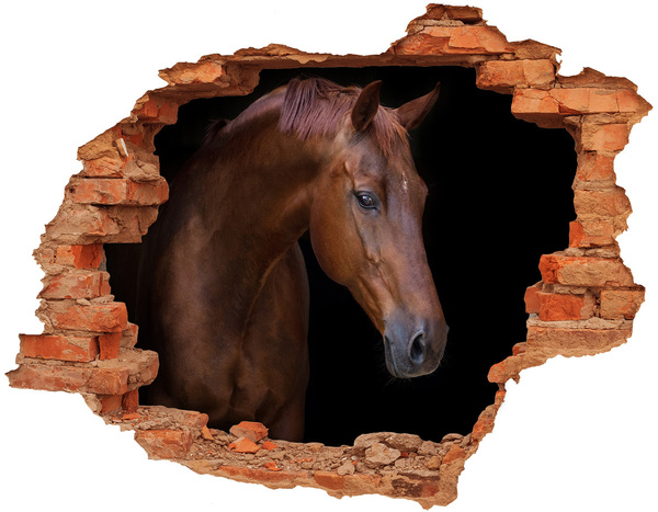 Hole in the wall decal Brown horse