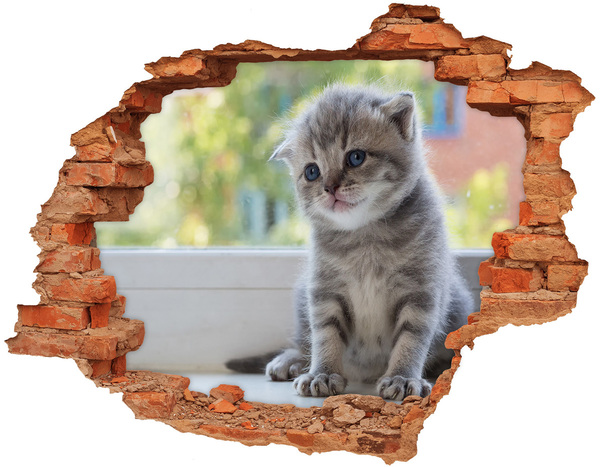 3D wall hole wallpaper Kitten in a hole in the wall