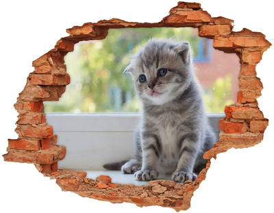 3D wall hole wallpaper Kitten in a hole in the wall