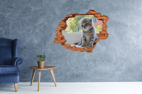 3D wall hole wallpaper Kitten in a hole in the wall