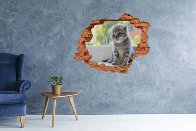 3D wall hole wallpaper Kitten in a hole in the wall