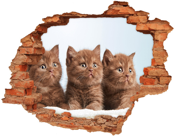 Hole wall sticker Kittens behind the wall