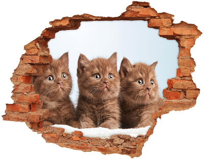 Hole wall sticker Kittens behind the wall