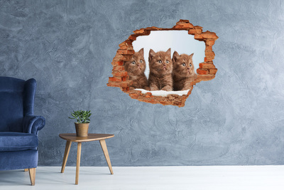 Hole wall sticker Kittens behind the wall