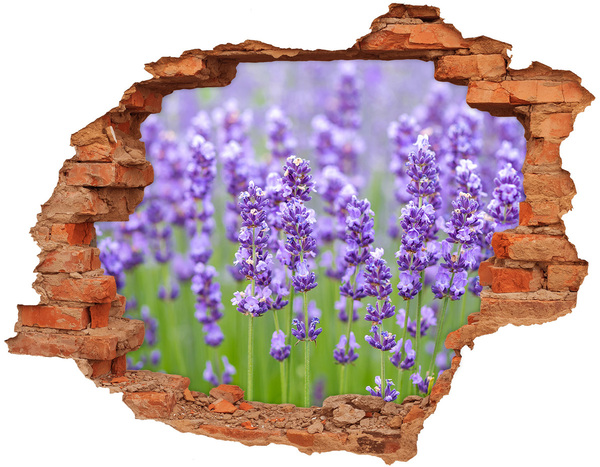 3D wall hole wallpaper Lavender field in the sunshine
