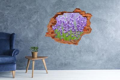 3D wall hole wallpaper Lavender field in the sunshine