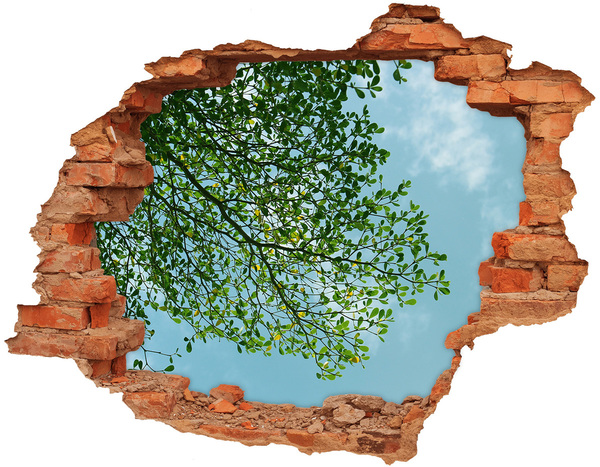 Hole wall sticker Green leaves under a blue sky