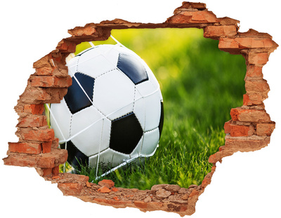 Hole in the wall decal Football on the pitch