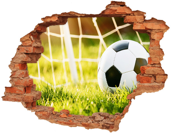Hole in the wall decal Goal on the pitch
