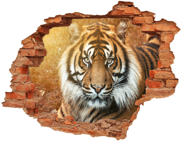 Hole in the wall sticker Bengal tiger