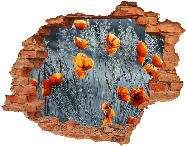 Hole in the wall sticker Field poppy seed