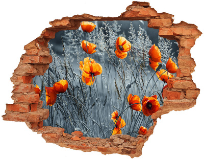 Hole in the wall sticker Flowers in a hole in the wall
