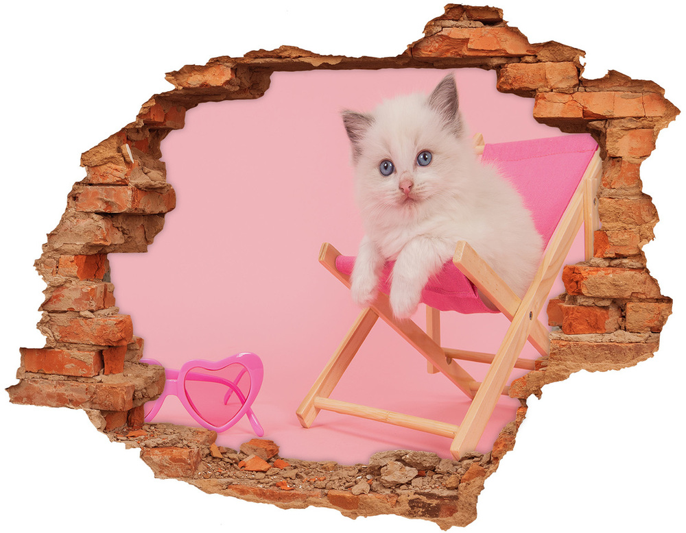 3D wall hole wallpaper Cat on a sun lounger