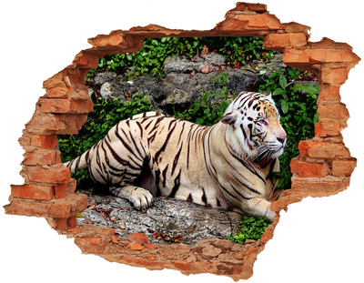 Hole wall sticker Tiger on the rock