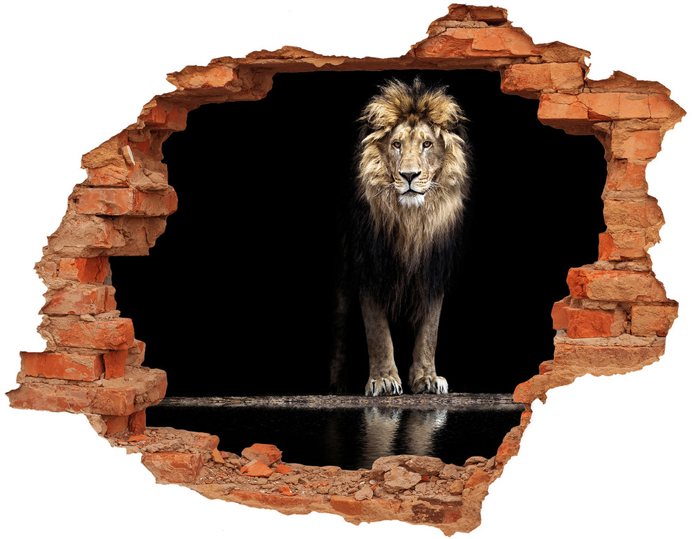 Hole wall sticker Portrait of a lion