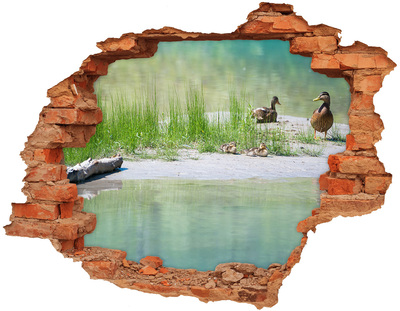 Hole wall sticker Pond with ducks