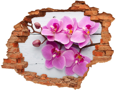 Hole wall sticker Orchid on wood